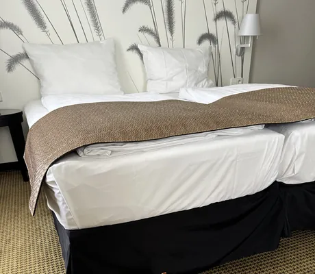 Zimmer mit liebevoll bereitgestelltem Wasser- und Fressnapf sowie Hundefutter der Marke naturavetal vor dem Bett