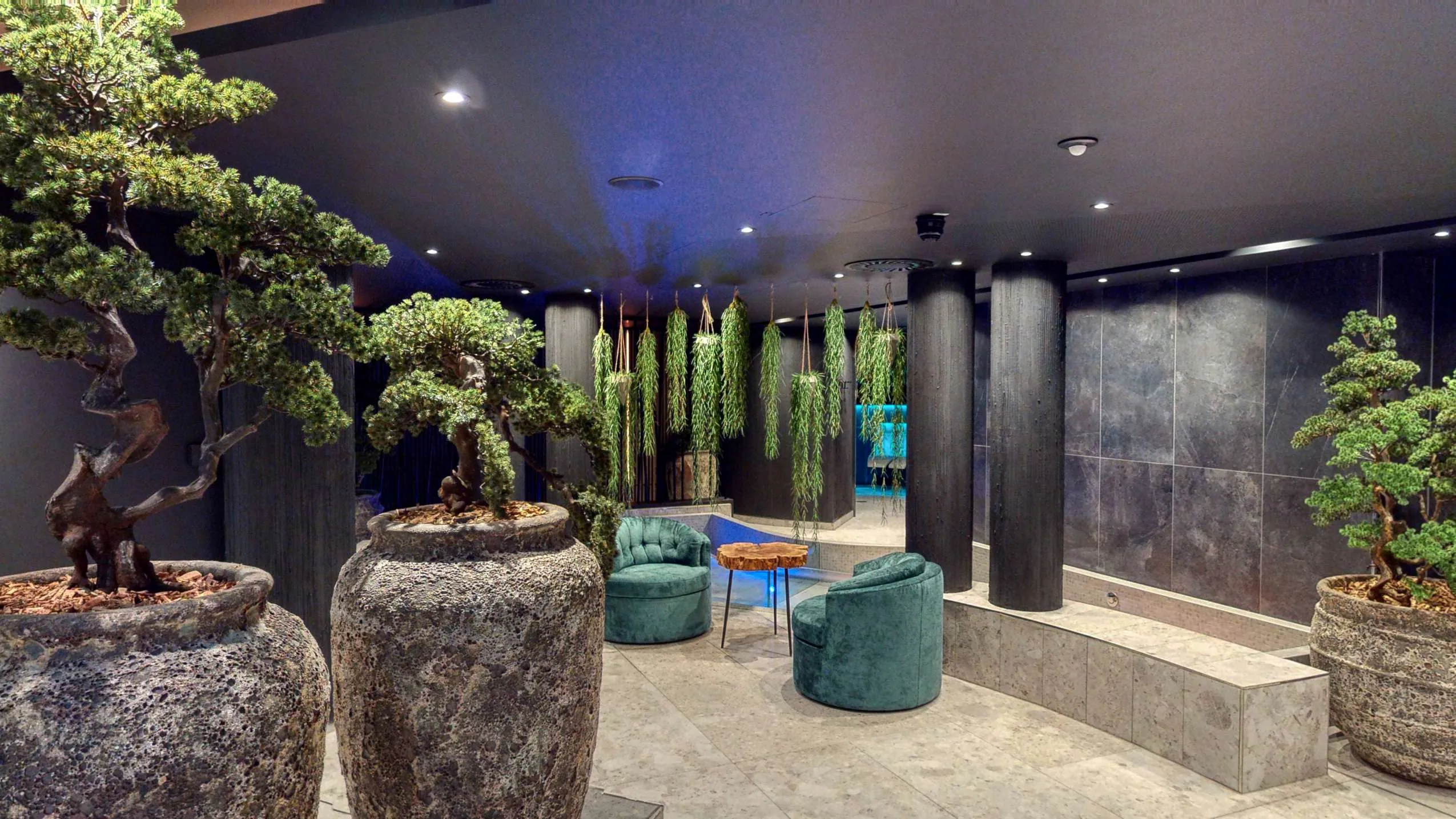 Spabereich in dunklen Antrazitt&ouml;nen, mit gr&uuml;nen Pflanzen die von der Decke h&auml;ngen sowie gro&szlig;en steinernen T&ouml;pfen in denen Bonsaib&auml;ume wachsen