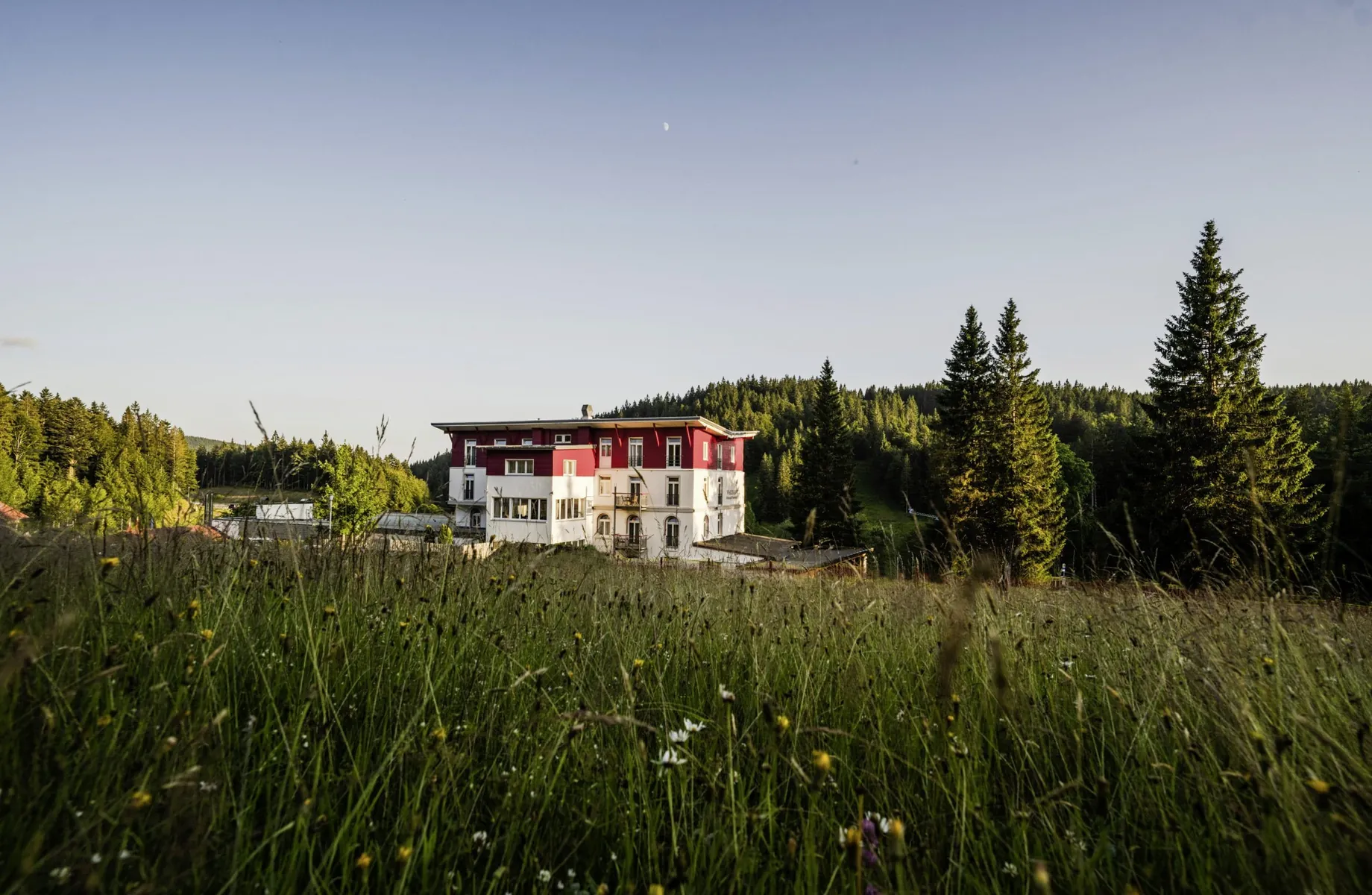Außenansicht Waldhotel am Notschreipass hinter Blumenwiese und Tannenbäumen