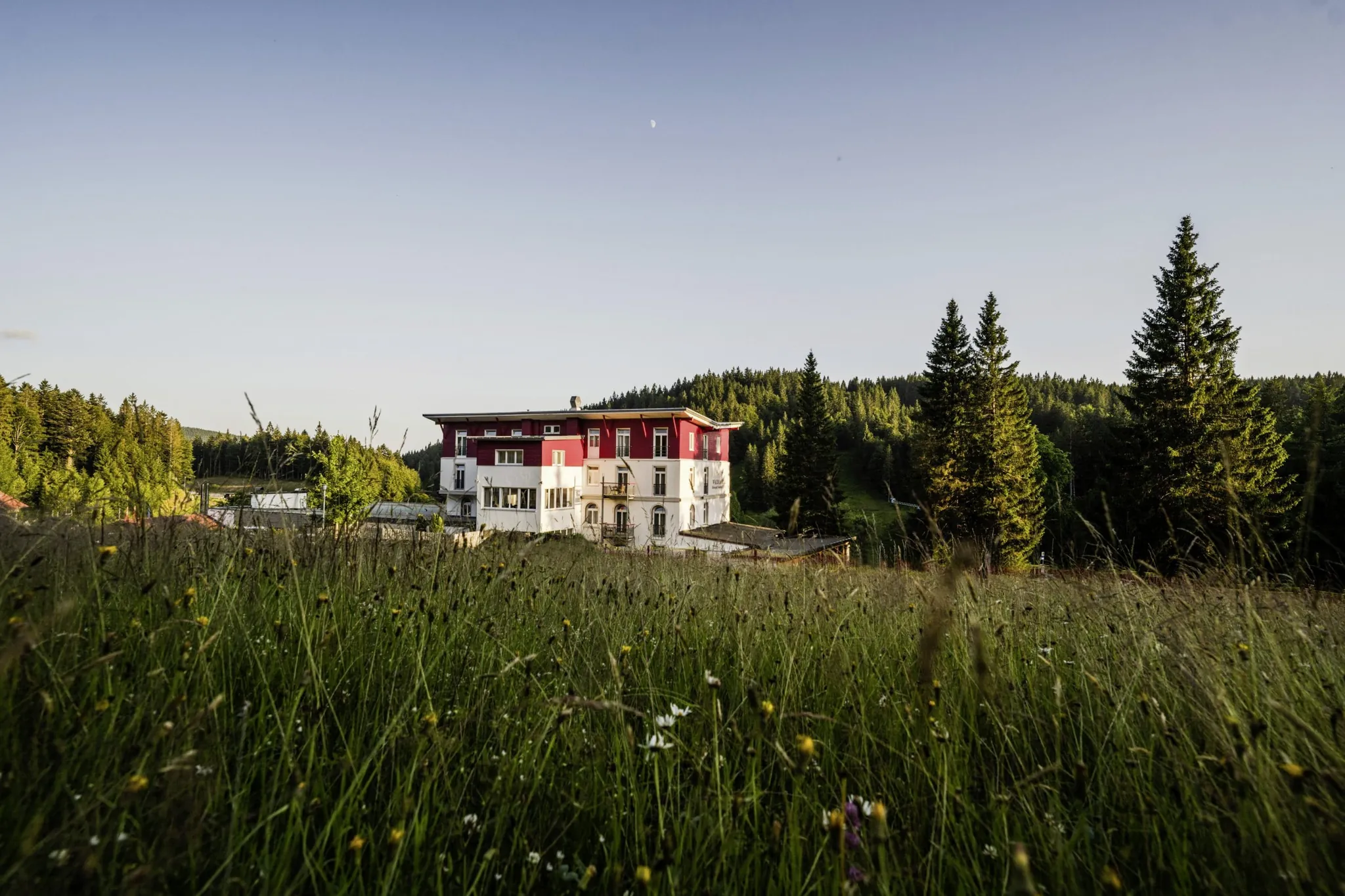 Außenansicht Waldhotel am Notschreipass hinter Blumenwiese und Tannenbäumen