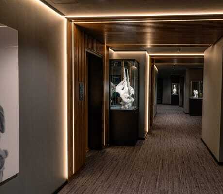 dunkler Gang im Hotel FreiWerk mit Leuchtröhren und Porzellanskulptur im Glasgasten