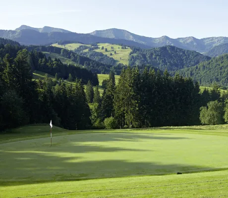 an Haubers Naturresort angrenzender Golfplatz mit Blick in die Allgäuer Alpen
