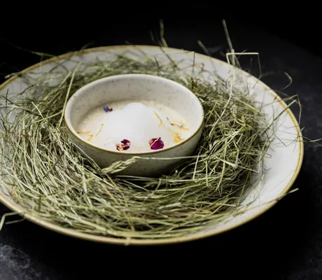 Gericht in Steingutteller im Heunest in Haubers Naturresort