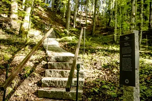 Treppe im Wald mit Infotafel in Haubers Naturresort