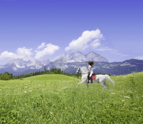 junge Reiterin auf Lipizzaner mit Bergpanorama im Hintergrund