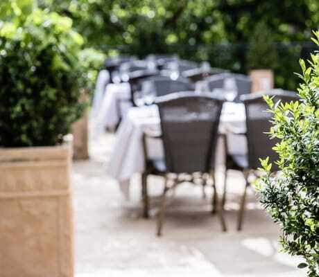 Terrassenbestuhlung mit Buchsbäumen im Parkhotel Schillerhain