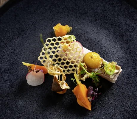 Ötztaler Bergsaibling schön angerichtet auf einem dunkelgrauen Teller im Der Böglerhof – pure nature spa resort