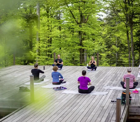 Mehrere Personen machen Yoga auf der großen Holzterrasse des WaldSpas des Wellness- und Naturresort Reischlhof