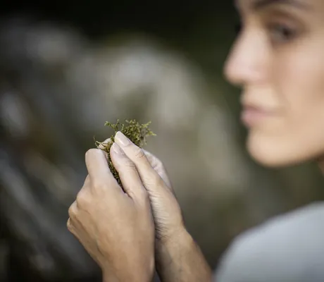 Nahaufnahme des Seitenprofils einer Frau, die Moos in den Händen hält