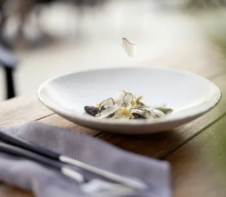 Fein angerichtetes Gericht mit weißen Trüffelscheiben auf weißem Teller im PURMONTES Private Luxury Chalet