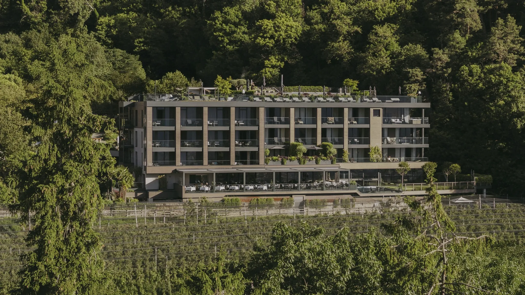 Außenaufnahme des Hotel Avidea inmitten der Wälder rund um Algund