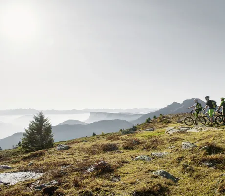 Gruppe von Bikern steht auf einer Anhöhe und schaut ins Merander Land im Nebel