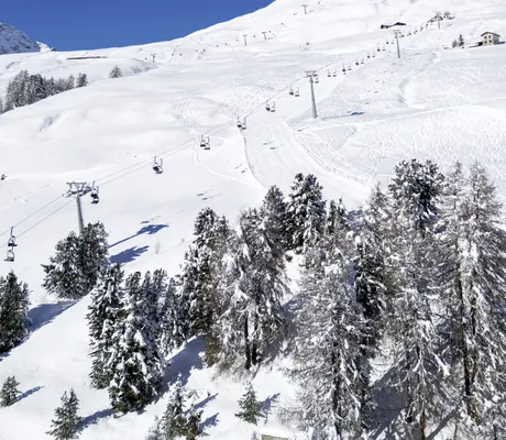 Skihang bei strahlend blauem Himmel am Suvretta House