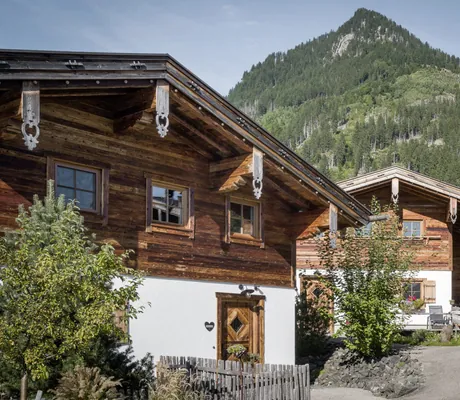 Außenansicht der Alpzitt-Chalets vor bewaldetem Berg unter blauem Himmel