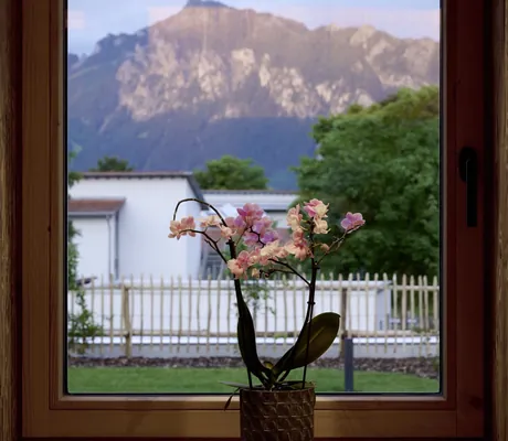 Rosa blühende Pflanze in braunem Topf auf Fensterbank vor Berglandschaft und Zaun in den Ziegelberg Chalets