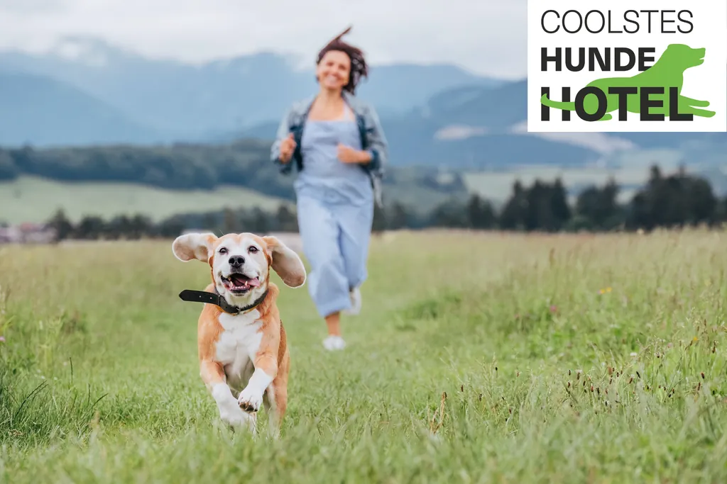 Junge Frau rennt mit Hund über eine Wiese im Allgäu