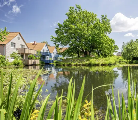 Blick vom Naturteich aus auf die Häuser des BEECH Resort Fleesensee