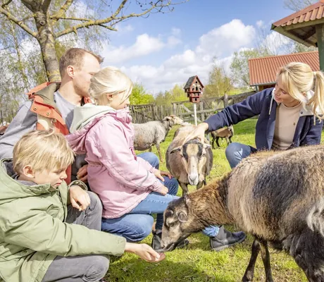 Familie mit drei Kindsern streichelt Ziegen im Streichelzoo des BEECH Resort Fleesensee