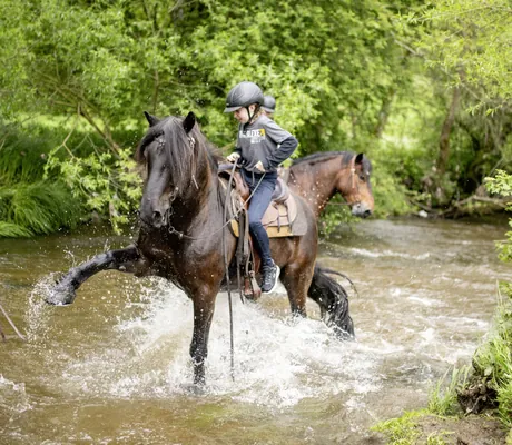Jugendliche auf braunen Pferden des Hotel & Resort Landhaus zur Ohe in einem Fluss