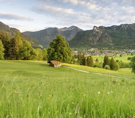 große Wiese am hang mit Blick auf Oberammergau im Hundesporthotel Wolf