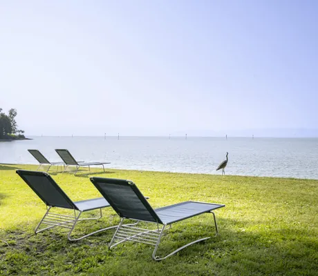 Sonnenliegen und Kranich am Bodensee im Seegut Zeppelin