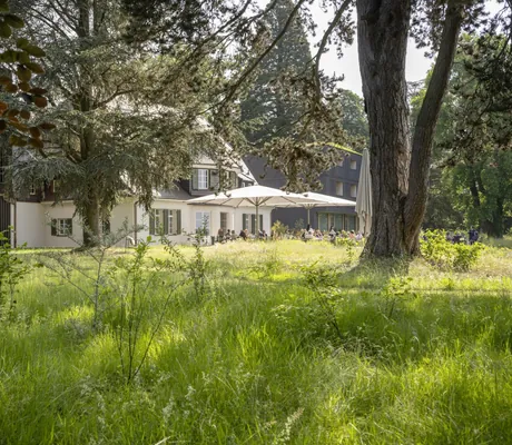 Blick vom Park mit alten Bäumen auf die Restaurant-Terrasse des Seegut Zeppelin