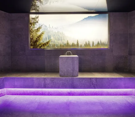 grau gefliestes Dampfbad im Landromantikhotel Oswald mit Panoramafenster