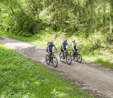 Familie radelt im Wald rund das Hotel Reppert