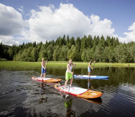 drei Stand Up Paddler auf einem Weiher nahe des Hotel Reppert umgeben von Wäldern