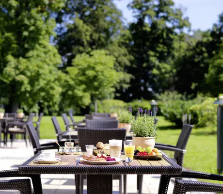 Frühstück auf der Terrasse der Orangerie des Schloss Fleesensee mit Blick ins Grüne und Lavendeltopf