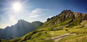 Blick auf das Tannheimer Tal mit Berggipfeln, grünen Wiesen und mehreren grasenden Pferden unter blauem Himmel bei Sonnenschein