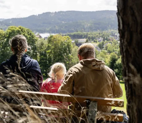 familie sitzt mit Rücken zur Kamera auf einer Bak im Wald im Vier Jahreszeiten am Schluchsee