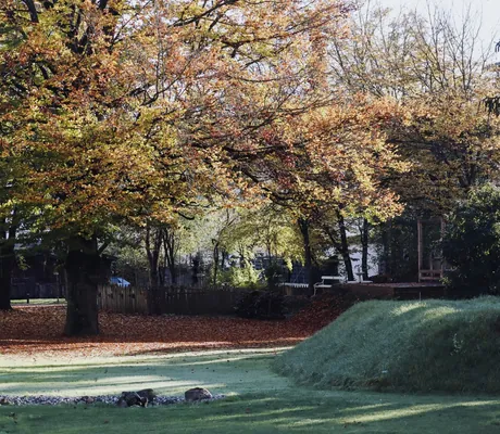 alte Bäume mit Herbstlaub im winterlichen Park des Das Parkhotel
