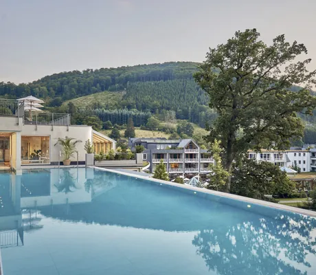 Infinitypool im Hotel Deimann mit Blick auf die Hotelanlage und einen großen Baum