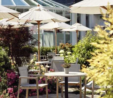 Terrassenbestuhlung im Hotel Deimann mit weißen Sonnenschirmen und vielen großen Topfpflanzen