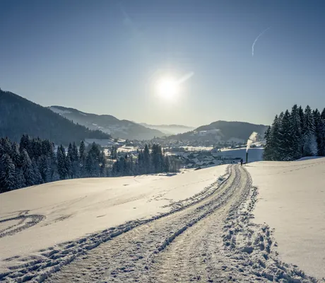 Verschneiter Winterwanderweg mit Allgäuer Bergen im Hintergrund bei Haubers Naturresort in Oberstaufen