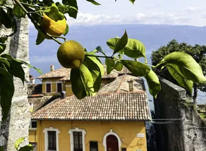 Zweig mit reifen Zitronen und grünen Blättern vor gelbem Haus mit roten Dachziegeln und Bergkulisse am Gardasee in der Nähe des STROBLHOF LAKE GARDA – Active Family SPA Resort