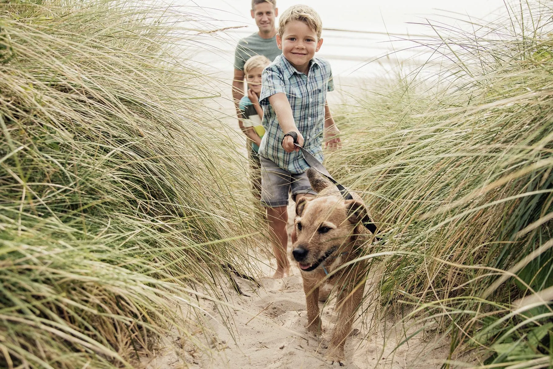 Junge mit kariertem Hemd läuft mit Bruder und Vater mit Hund an der Leine durch die Dünen im Damp Ostsee Resort