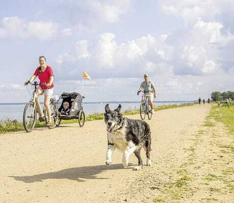 Familie fährt mit Fahrrädern am Meer entlang und Hund läuft nebenher im Damp Ostsee Resort