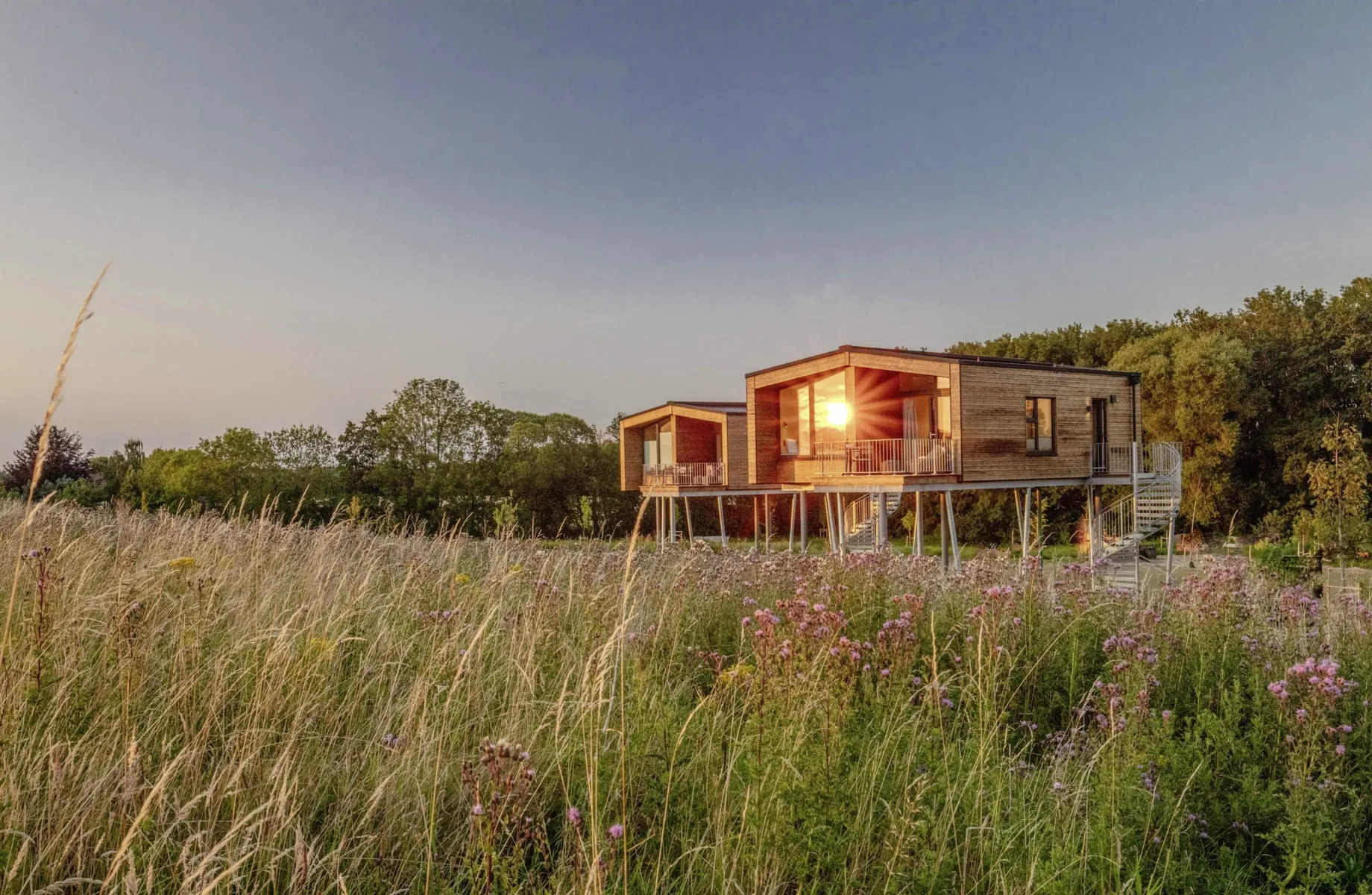 Blumenwiese vor den Holzhäusern auf Stelzen des Ostsee Baumhaushotel in der Abendsonne