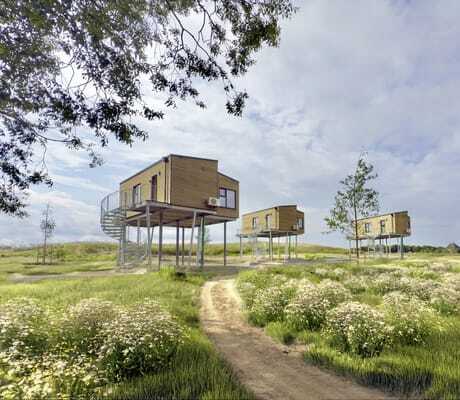 Weg zwischen weißen Blumenbüschen zu den Holzhäusern auf Stelzen des Ostsee Baumhaushotel