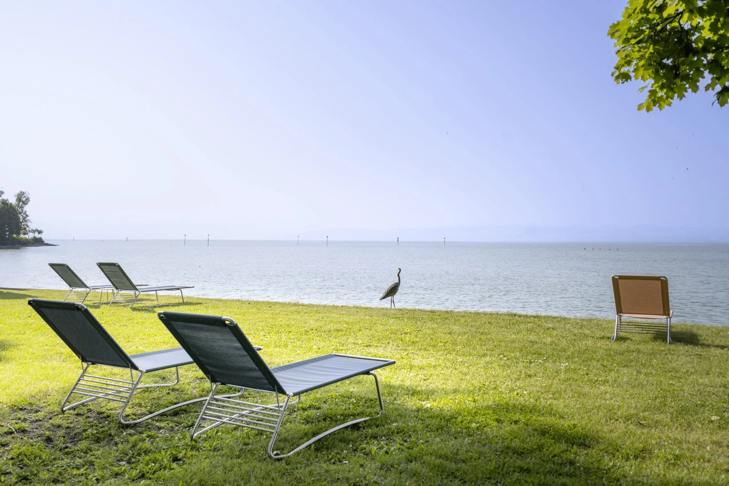 Sonnenliegen und Kranich am Bodensee im Seegut Zeppelin
