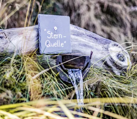 Natürliche Wasserquelle mit fließendem Wasser aus einer Holzrinne, beschriftet mit "Stern-Quelle" auf einer Schiefertafel des Chalet Stern