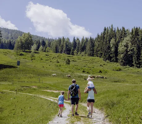 Familie beim Wandern auf einem Feldweg durch grüne Wiesen und Wälder, mit Kühen im Hintergrund unter blauem Himmel in der Nähe des Naturresort PURADIES