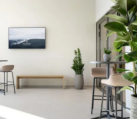 Foyer im Tagungsbereich des WALD.WEIT mit Monitor und Pflanzenkübeln