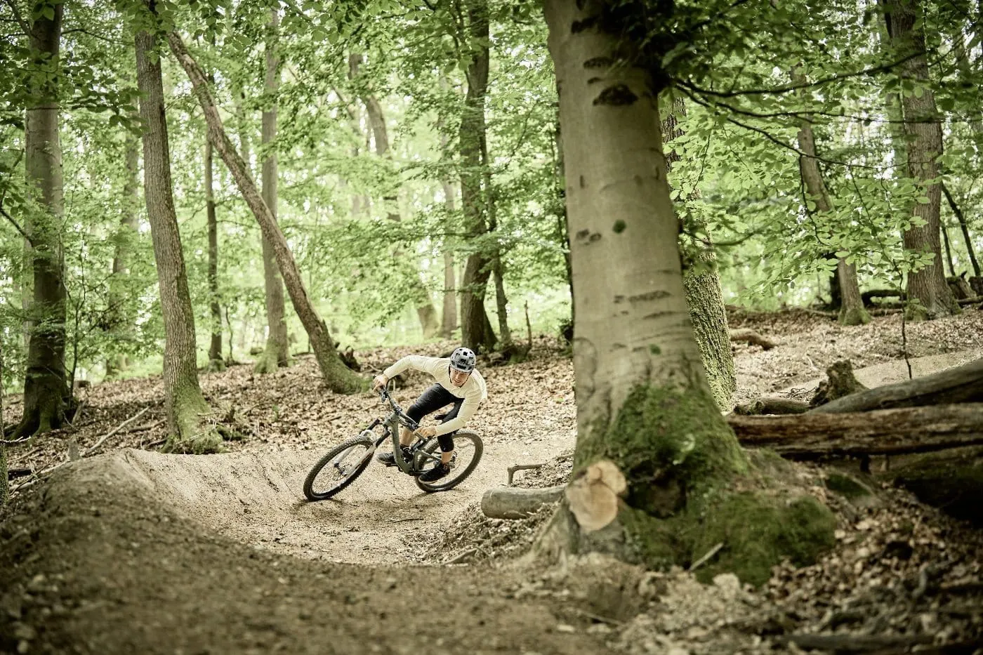 Mountainbiker in einem Wald in der N&auml;he des WALD.WEIT Rheingau Hotel & Retreat, der eine kurvige Strecke auf einem naturbelassenen Boden f&auml;hrt