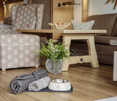 Hundezubehör mit Napf und Decke arrangiert auf dem Holzboden eines Premium-Doppelzimmers im Sonnenalp Resort