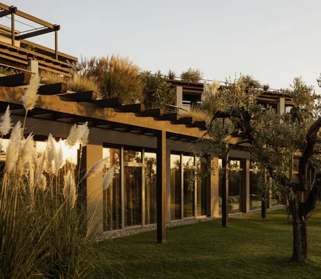 Fassade mit Panoramafenstern des Cape of Senses inmitten Olivengartens im Abendrot
