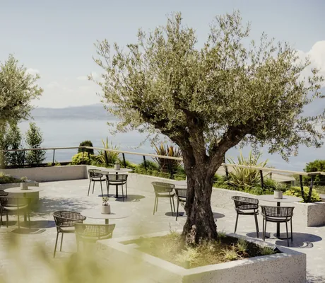 große Olivenbäume in Kübeln auf der Terrasse mit Tischen und Stühlen und Seeblick im Cape of Senses