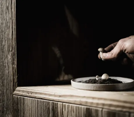 Hand drapiert Pilz auf grauen Teller in Holznische im Wellnesshotel Der Engel